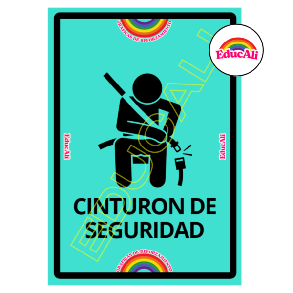Cinturon de Seguridad